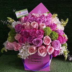TFBOX-099