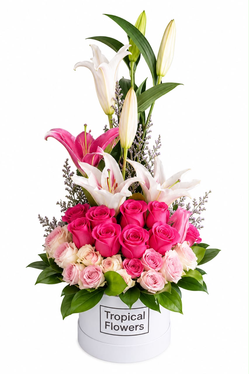 d0811f95-dd67-4968-8c10-15817d3430d7 TFBOX-126 - Imagen 1