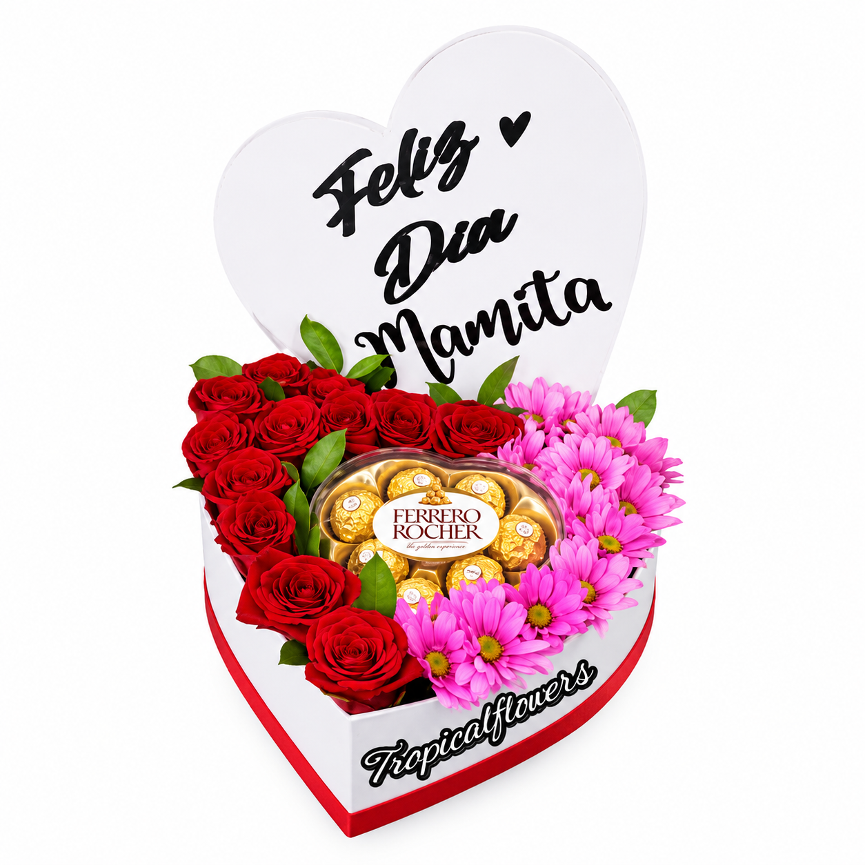 0e98d8b4-7a39-4a0a-8953-3ef3b2c0d2de TFC-015 - Imagen 1