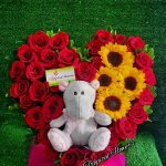 TFG-085