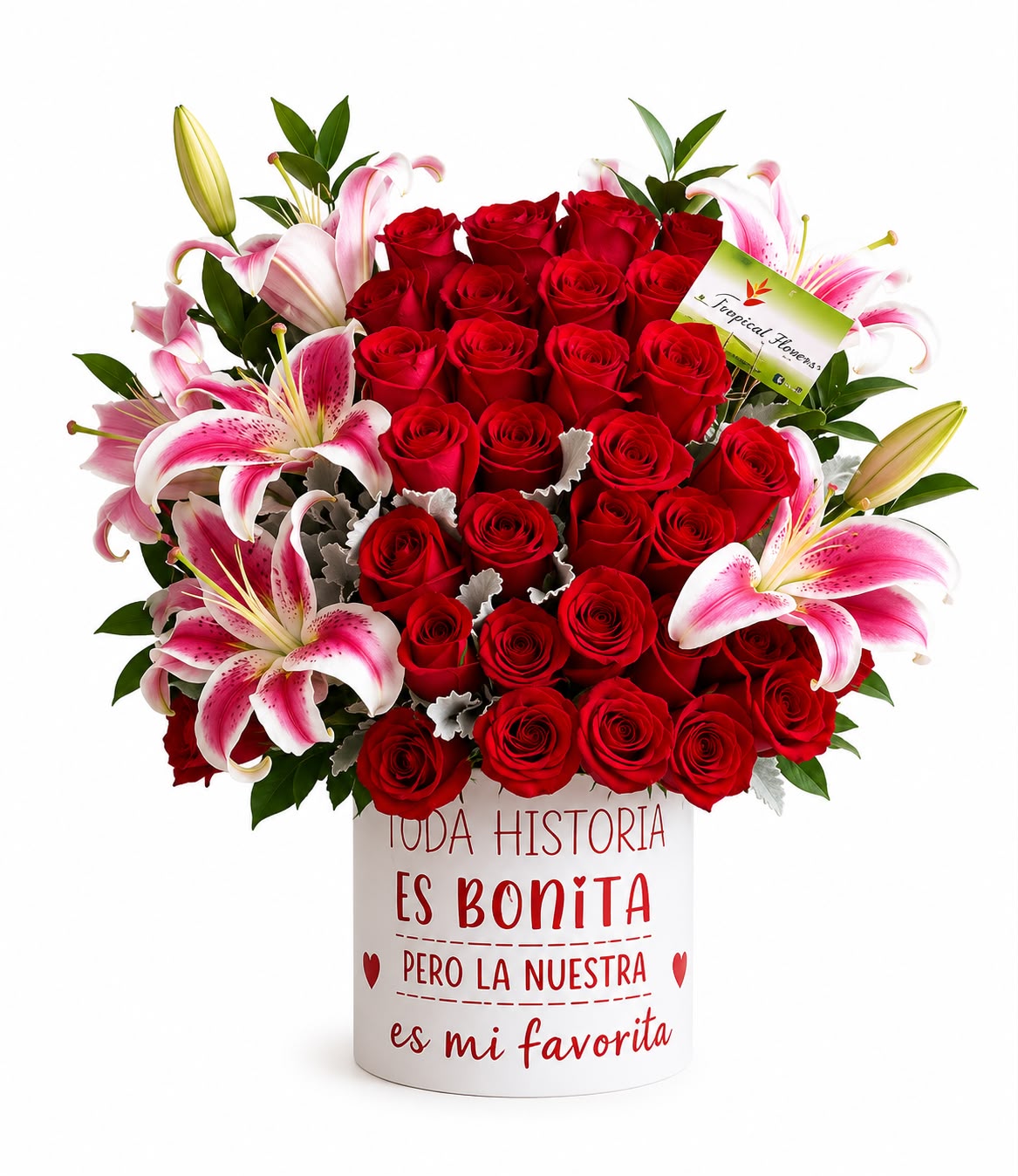 5f226b77-dcd6-4c76-a1c3-6b198cd6d45d TFBOX-172 - Imagen 1