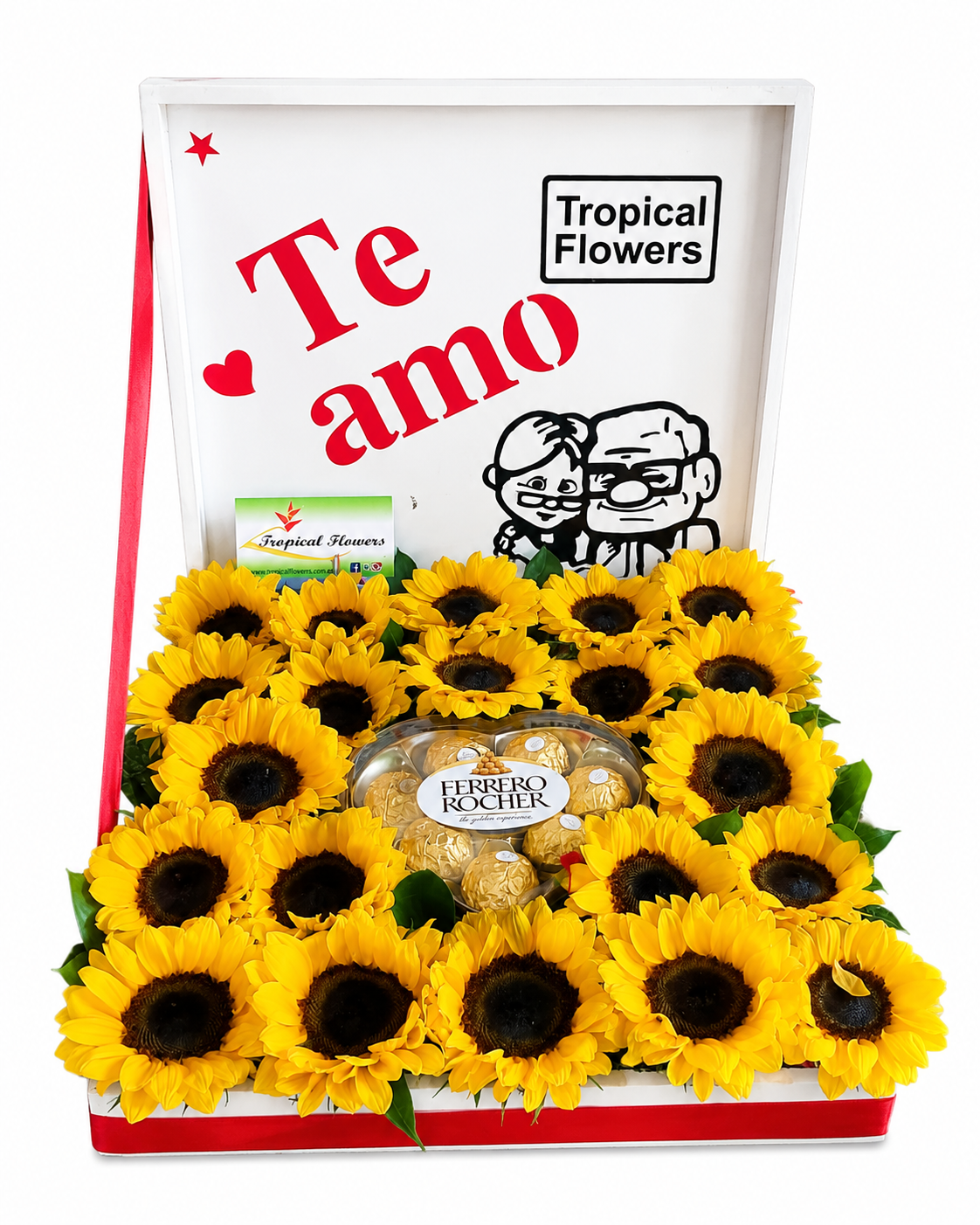 759ab2dd-7882-4fd1-8814-7e87471baf03 TFC-085 - Imagen 1