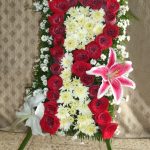 TFM-065