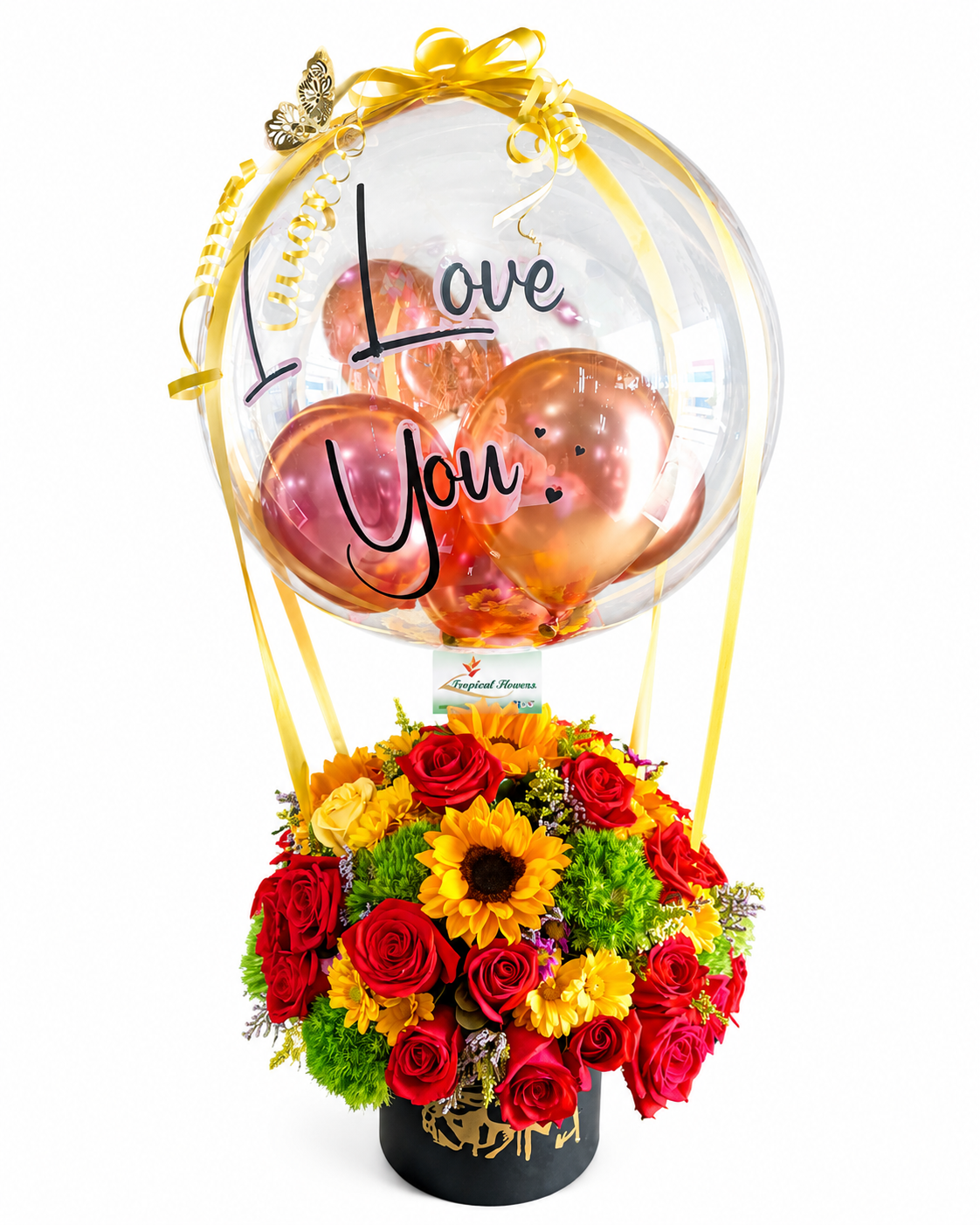 bb0ee82b-42e8-4615-807c-f0b880c6cfac TFHB-035 - Imagen 1