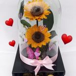 TFE-095